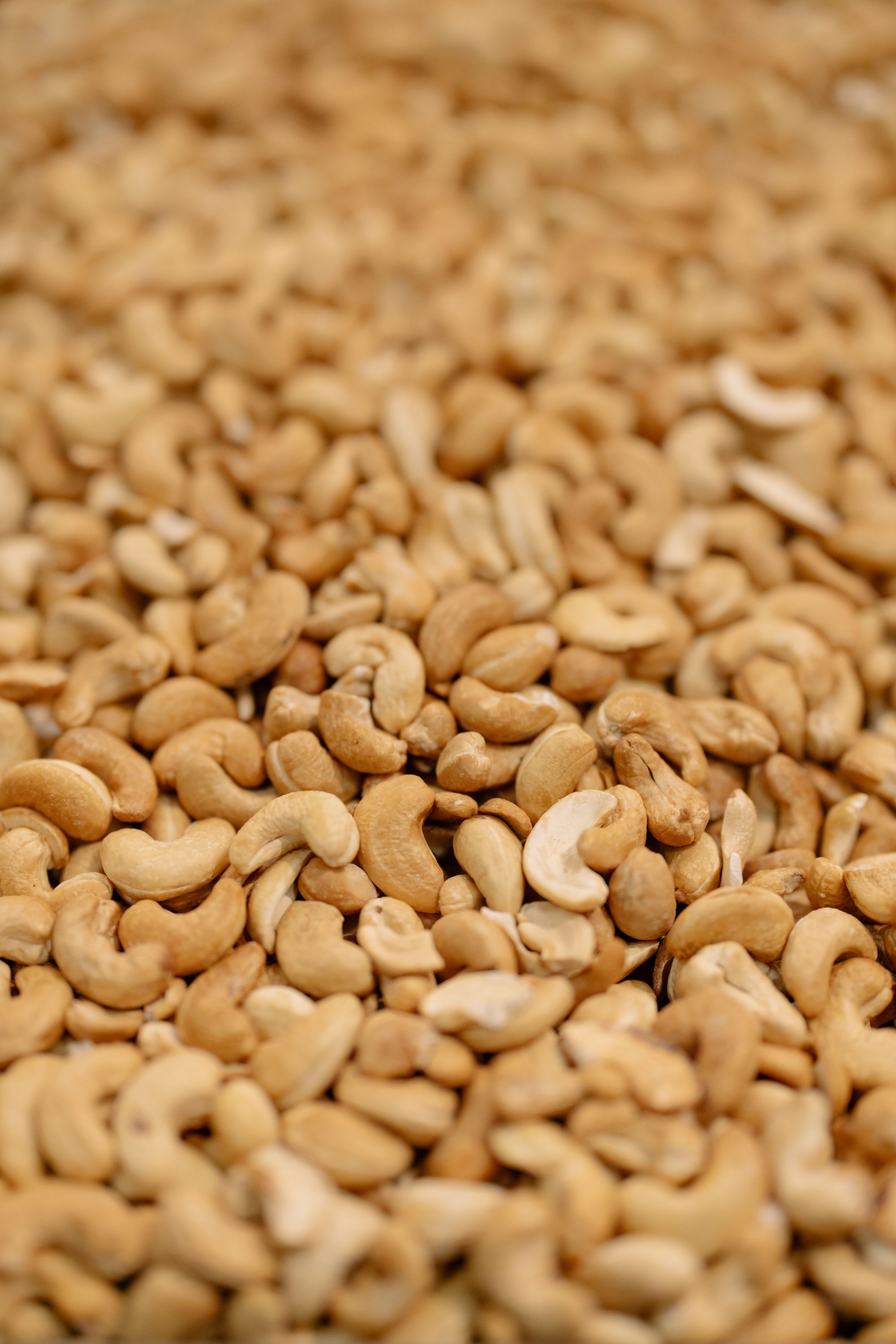 A wide bed of cashew kernels at trade scale