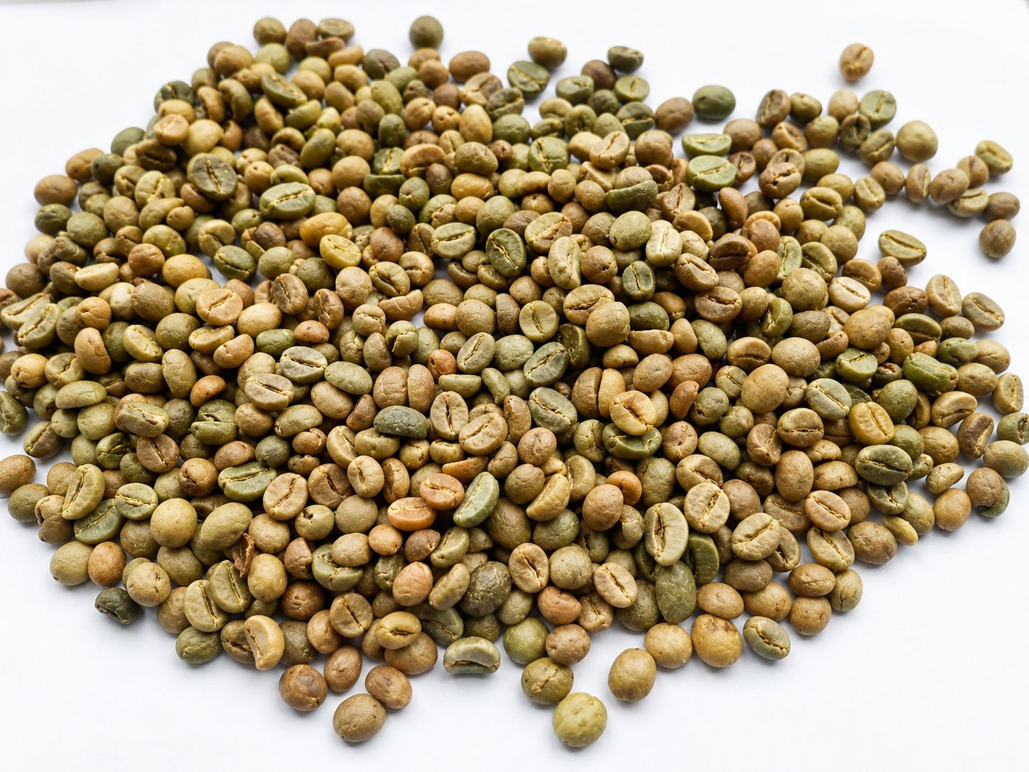 Green coffee beans shown as a clean sample