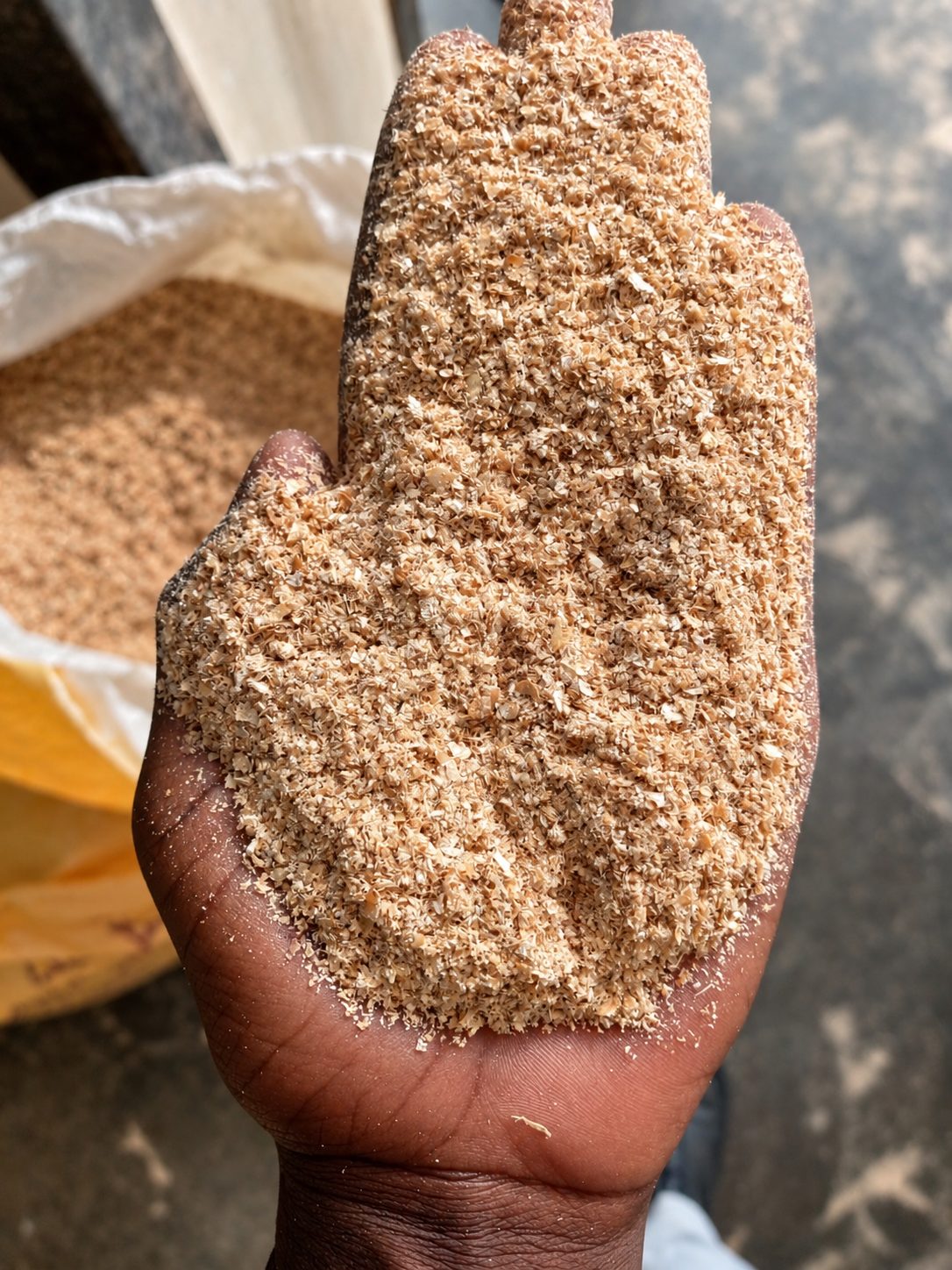 A hand holding a sample of wheat bran